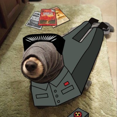 JoshStall's profile picture. Capacity to see macro and micro aspects of ventures. Whether it’s in real estate or crypto, I excel at looking at both the big-picture and fine details.