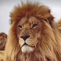 महापद्म (@bharatkumar7369) 's Twitter Profile