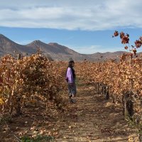 #LaSeñoritaEtcétera (@lasritaetcetera) 's Twitter Profile Photo #LaSeñoritaEtcétera (@lasritaetcetera) 's Twitter Profile Photo