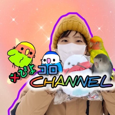 コザクラインコのおぴよです! 小鳥、動物みんな大好き、たくさん踊るぴよ! YouTube も、ちょっとずつ見てもらえてるぴよ🦜 https://t.co/RhFCgz7UBq @YouTube TikTok頻繁に投稿してます!