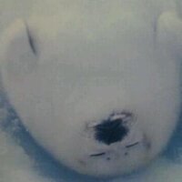 gomafu (@gomafu25) 's Twitter Profile Photo