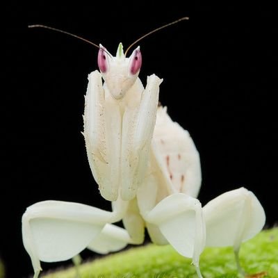 NA2278CeklrBock's profile picture. 