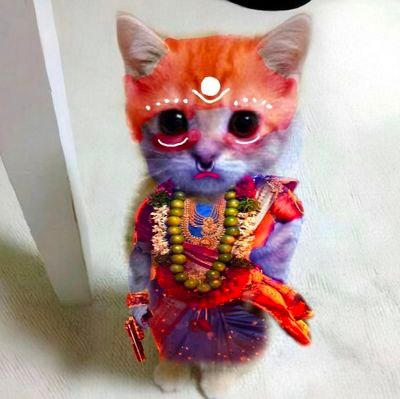 mandy09xo's profile picture. Cursed