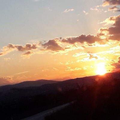 Teoman895040's profile picture. 