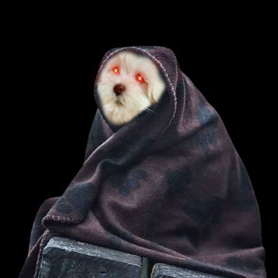 BlanketsMe's profile picture. 