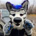 Dirty Paws (@dirtypawshusky) Twitter profile photo Dirty Paws (@dirtypawshusky) Twitter profile photo