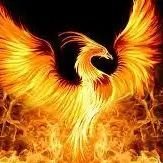 tarkusirland's profile picture. new man