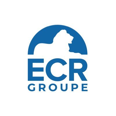 Délégation française ECR Profile