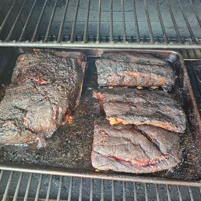 1PersianSandMan's profile picture. 