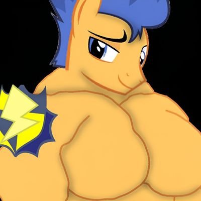 FlashSentryFun's profile picture. I love fortnite and mlp)