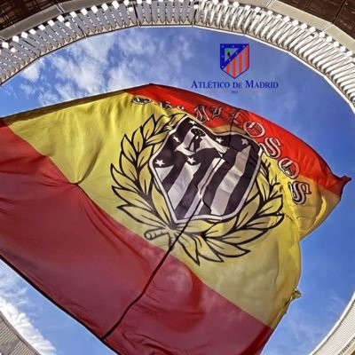 del Atleti, taurino y español, me encantan el campo y la caza.....y ya soy muy mayor para andar cambiando.