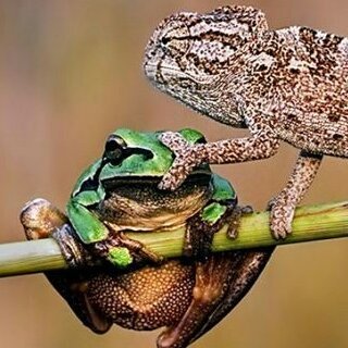 嘘テレビなんかボイコットだ!
見ちゃダメ!
あたま腐る!
あと分断工作に引っかかるな!
自分が困るまで他人を助けずいたら51%が奴隷化するまで改革が「絶対に」始まらないのが民主主義。
どれだけ早く他人の苦しみに気付けるかが鍵なんだぞ。