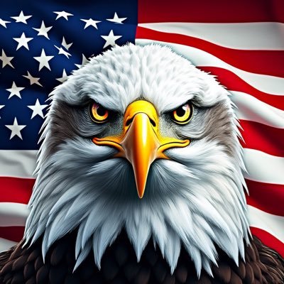 nva_eng's profile picture. PROUDLY SUPPORTING ICE!! 🇺🇸🇺🇸🇺🇸🇺🇸🇺🇸
