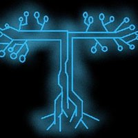 wizard2778 (@wizard2778) 's Twitter Profile