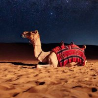 حَلا 🎓 (@sul_1b911) 's Twitter Profile