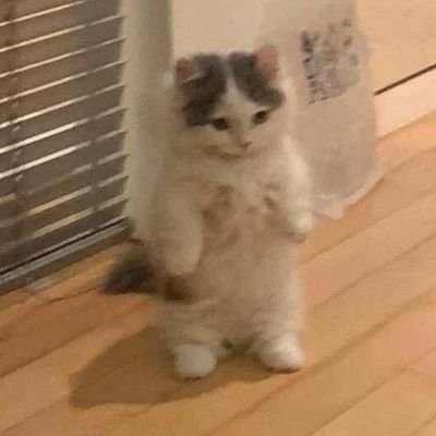 ☆𝖆𝖑𝖕𝖆𝖙𝖗𝖎☆さんのプロフィール画像