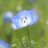 grby_4