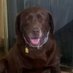 Timothy Cope,Sr (@dart679sec) Twitter profile photo Timothy Cope,Sr (@dart679sec) Twitter profile photo