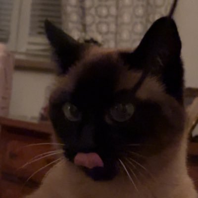 ulyanka117's profile picture. English teacher and the babe at @AlphaBlockTrade 🇺🇦