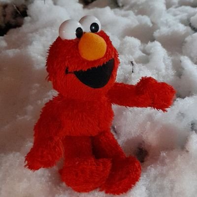 21 ■ muppets, sesame street, fraggle rock, Jim Henson ■ autistic ■ Janice and Floyd
#muppettwt