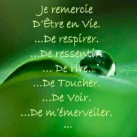 Choupette 🇪🇹 (@choupettem1) 's Twitter Profile