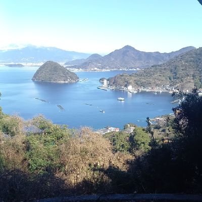 Greenery_Beans's profile picture. 有言無実行