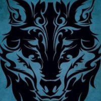 Tomris 🇹🇷 (@tomriszamani) Twitter profile photo