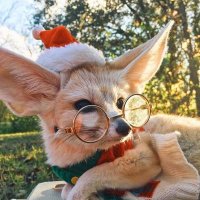Moon (@lightinbottlie) 's Twitter Profile