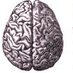 CTEInformation (@cteinformation) Twitter profile photo CTEInformation (@cteinformation) Twitter profile photo