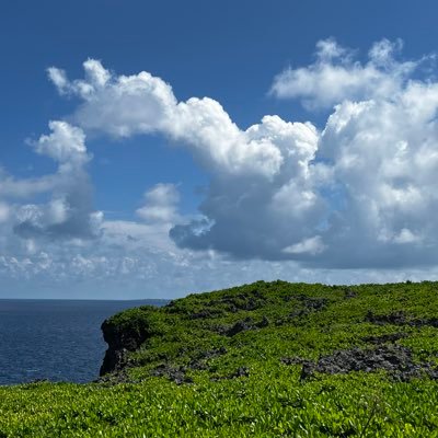 Booooooooo91361's profile picture. 男子校/文Ⅲ志望/文学部