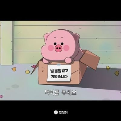nope__111's profile picture. 부산 96년생 멜섭입니다 해치지 않아요