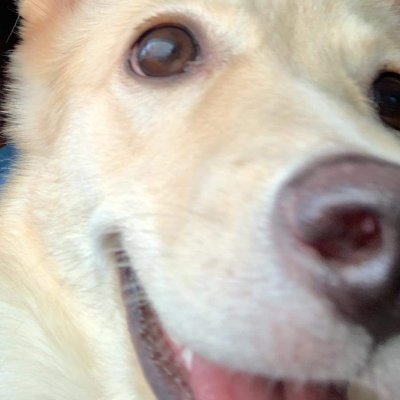felcyさんのプロフィール画像