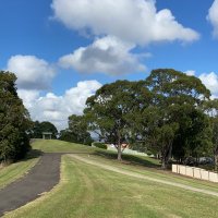 Lin Zhu (@drlinzhu) 's Twitter Profile