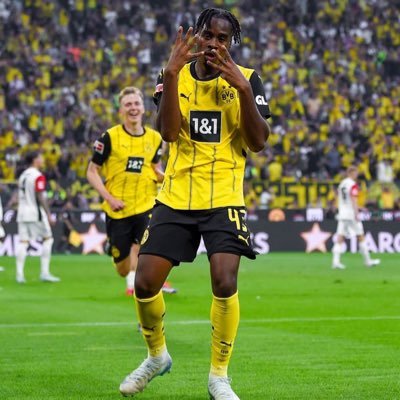 Wolf_bvb39's profile picture. @BVB/@TigersDreamlink/@GAMBA_OFFICIAL/🏇