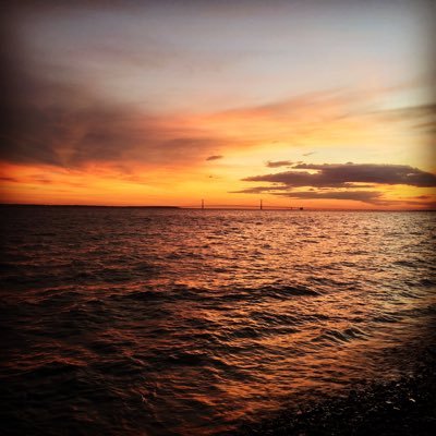 DeusLexRex's profile picture. Christian, pro life, conservative, likes to read, and Gen Z. Views are my own.