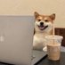 Jack (@jackslutdog) Twitter profile photo Jack (@jackslutdog) Twitter profile photo