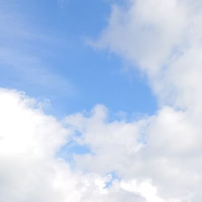 asukaさんのプロフィール画像