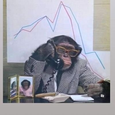 dki1997's profile picture. Liberal linea Scioli