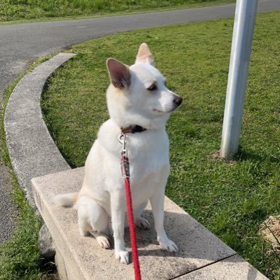 MacSteptwo's profile picture. 