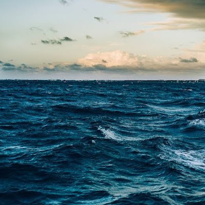 robocrop2023's profile picture. 