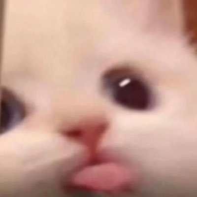 vexxeyxo's profile picture. 22 ~ pick your poison