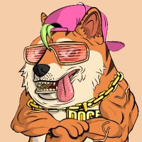 NOONฮR ๐ซก (@0xnooner) 's Twitter Profile Photo NOONฮR ๐ซก (@0xnooner) 's Twitter Profile Photo