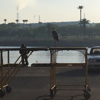 屑中年 (@iw3auwobaiom4dd) 's Twitter Profile