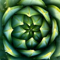 スタッフ小林Hamaya.中之条店 (@hamaya_nakanojo) 's Twitter Profile Photo