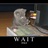 Destro56Hammer's profile image
