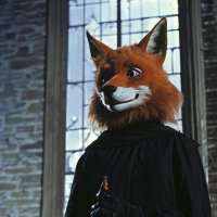 NullSci (@nullsci1) 's Twitter Profile Photo NullSci (@nullsci1) 's Twitter Profile Photo