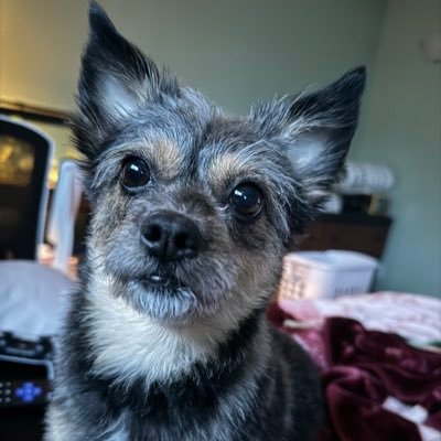 jose_the_mg's profile picture. 