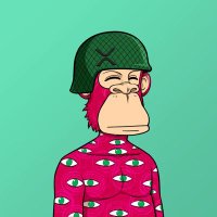 KING KONG 🟨 🍌 🟨 (@kingkongbullish) 's Twitter Profile