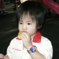 Gftulip (@gfpctulip) 's Twitter Profile