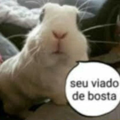 the act of searching for hope, to try and find it — that by itself is the true meaning of hope.
〔🇧🇷 🇺🇸 🇨🇳 🇪🇸 🇯🇵〕
no momento to fixada em caitvi